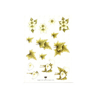 Efeu,Blüten, Calla,, 3D Bogen Le Suh A4,