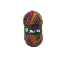 Step color Sockenwolle 100g