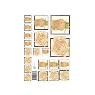 3D Bogen Le Suh A4, Rosen beige