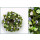 Blätter-Röschen-Kranz grün-flieder ø24cm