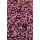 Moosgummi 2mm 20x30 pink/schwarz